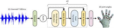 A rotary transformer cross-subject model for continuous estimation of finger joints kinematics and a transfer learning approach for new subjects